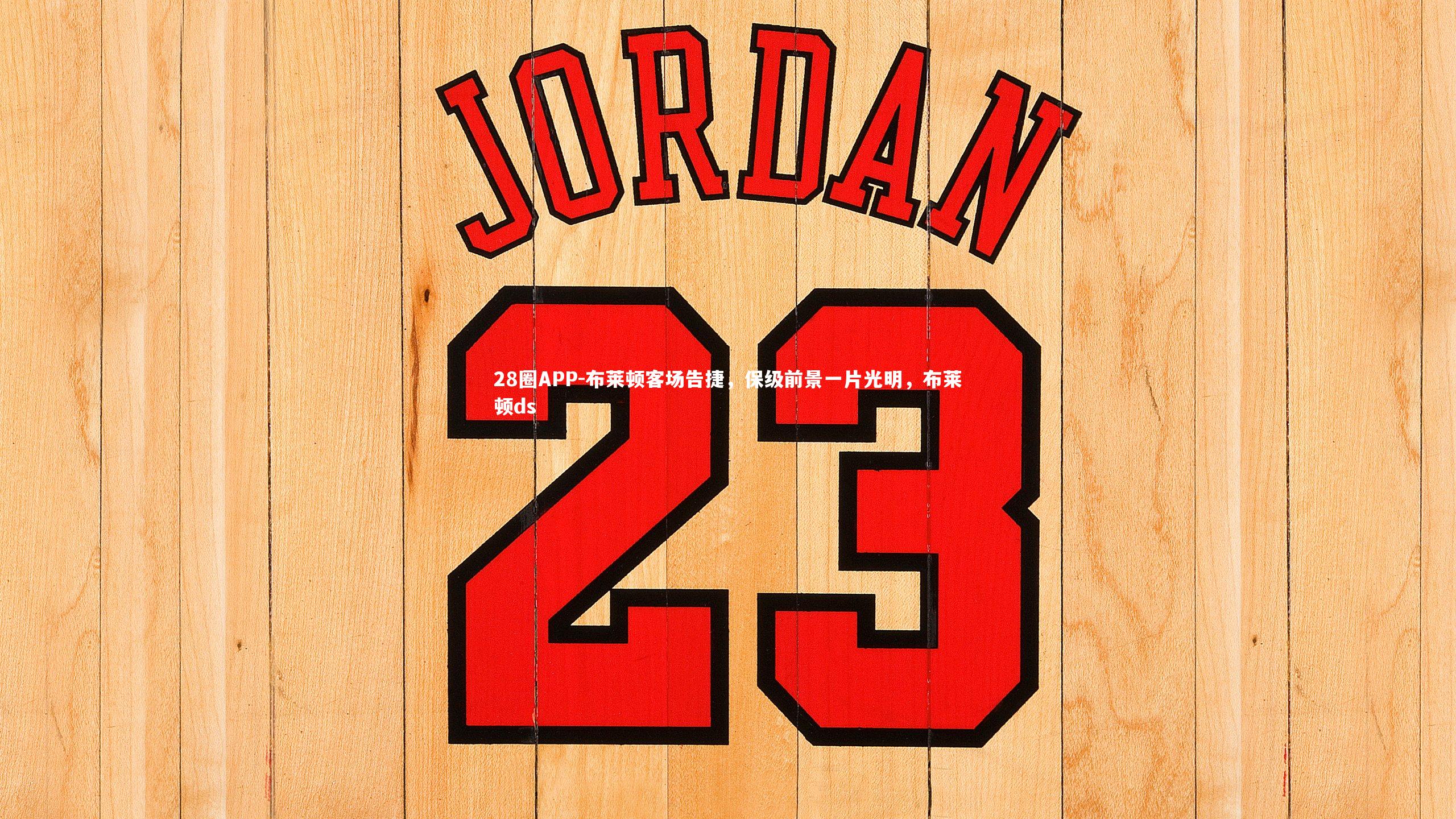 布莱顿客场告捷,保级前景一片光明,布莱顿ds