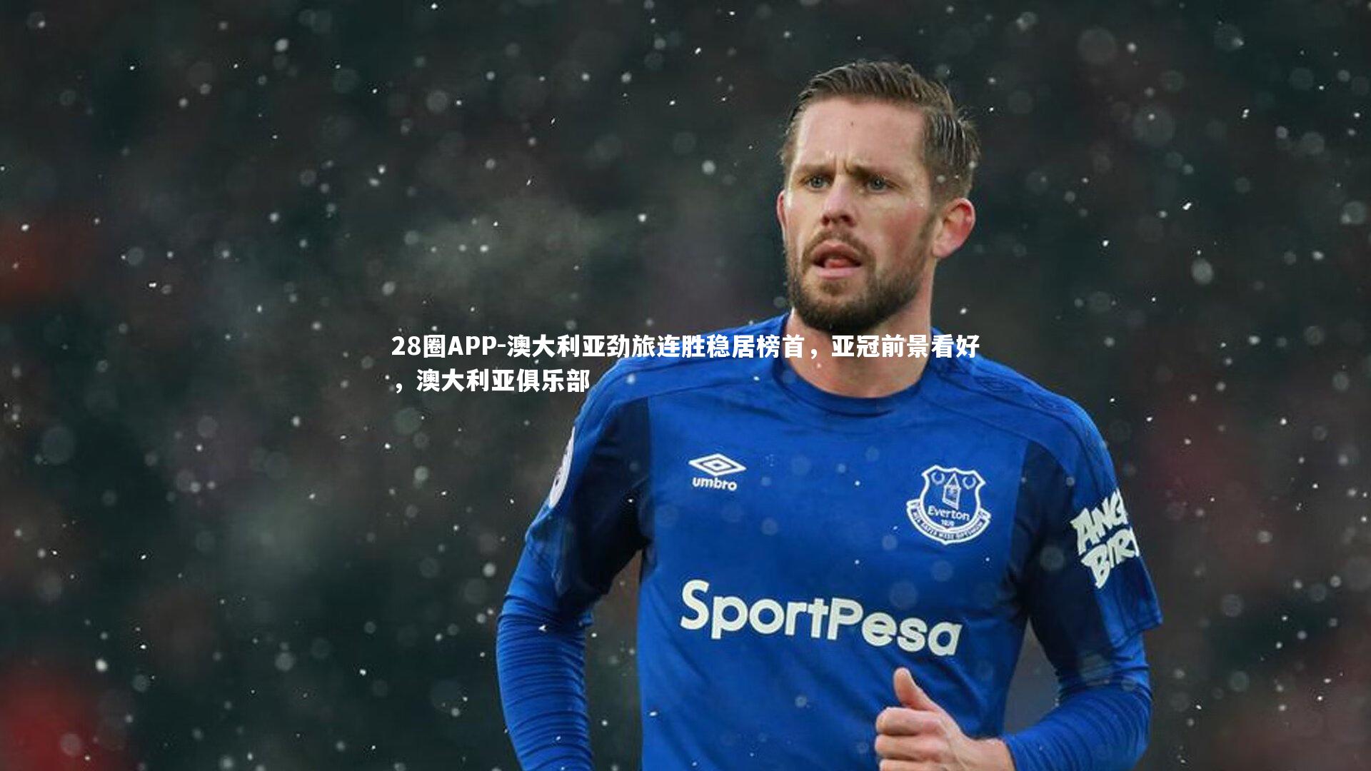 28圈APP-澳大利亚劲旅连胜稳居榜首，亚冠前景看好，澳大利亚俱乐部