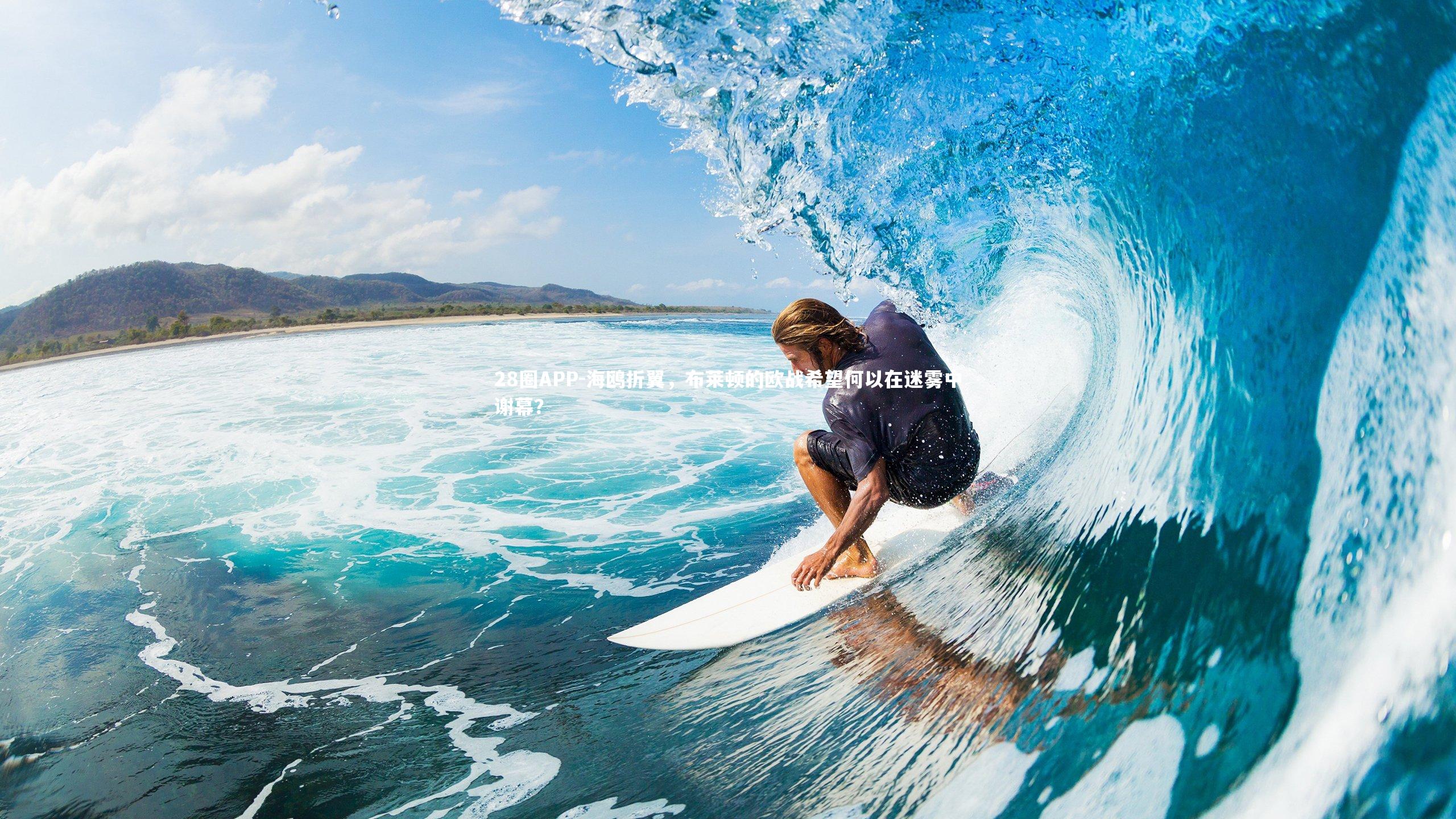 海鸥折翼，布莱顿的欧战希望何以在迷雾中谢幕？